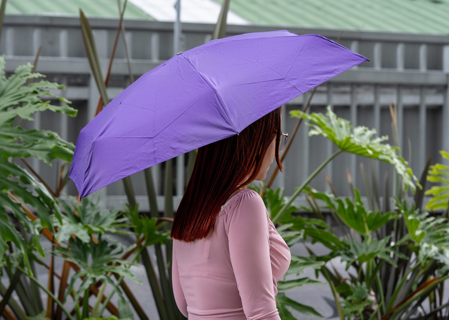 paraguas 18.5" picasso