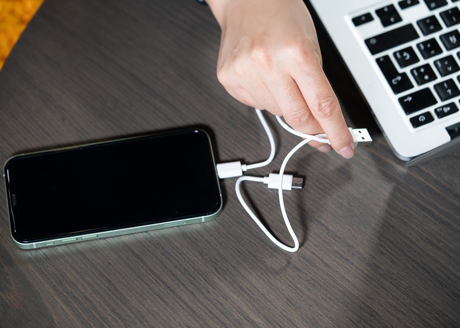 set de cables frenzy